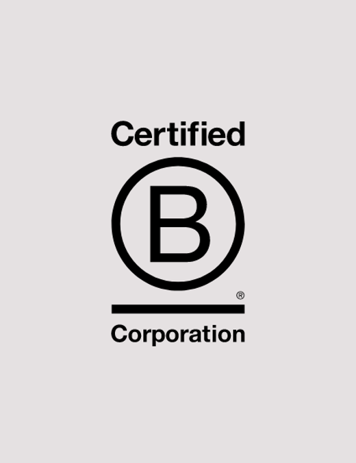 B Corp Smaller (1)